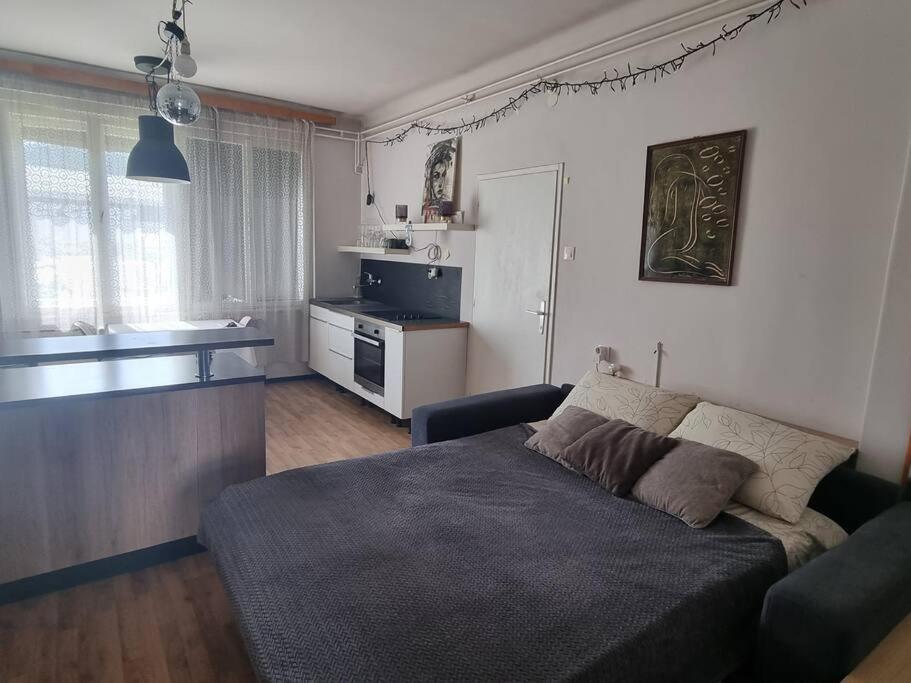 Cosy 2 Room Apartment With Nice Vibe, For Up To 4 Ljubljana Dış mekan fotoğraf